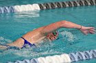 Swimming vs Babson  Wheaton College Swimming vs Babson College. - Photo By: KEITH NORDSTROM : Wheaton, Swimming, Babson